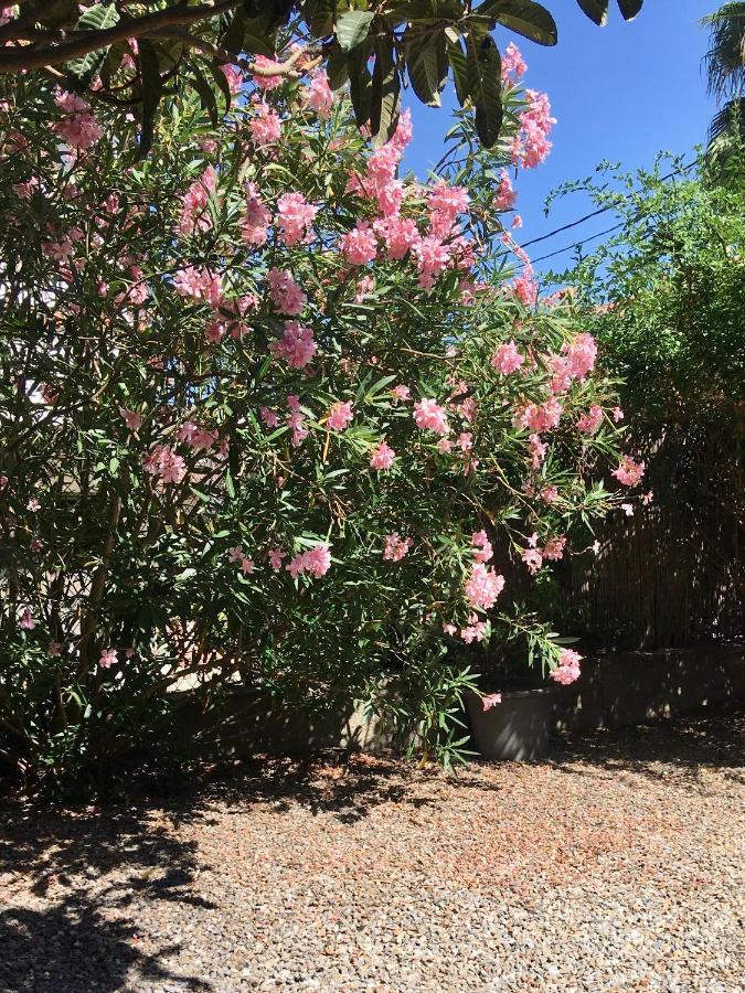 פרפיניין Dans Une Maison, Appartement Independant Et Jardin מראה חיצוני תמונה
